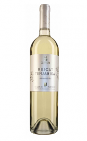 muscat temjanika