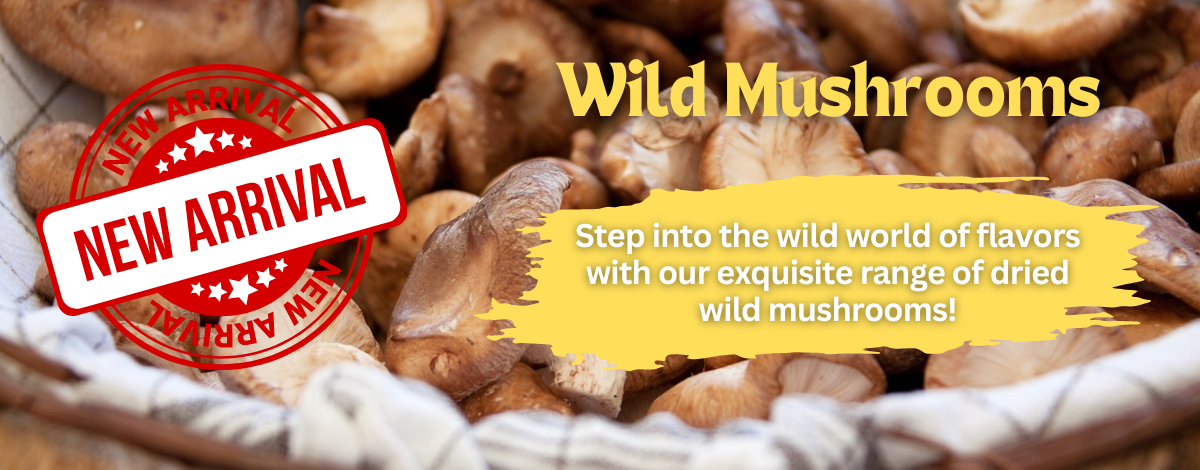 Wild Mushrooms banner 1 (1)